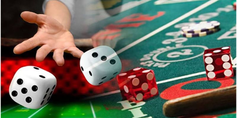 Giới thiệu chọn nhà cái uy tín