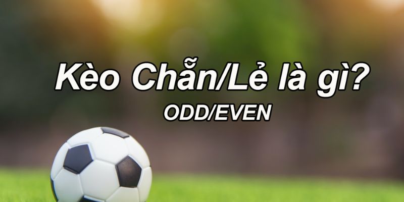 Phân loại kèo chẵn lẻ là gì