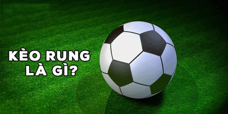 Chi tiết kèo rung là gì